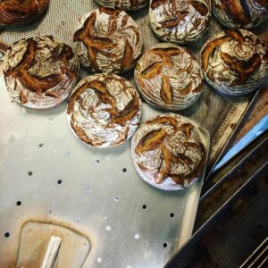 Eine Portion Bio BIO STEINOFENBROT 500g auf dem Blech gebacken.