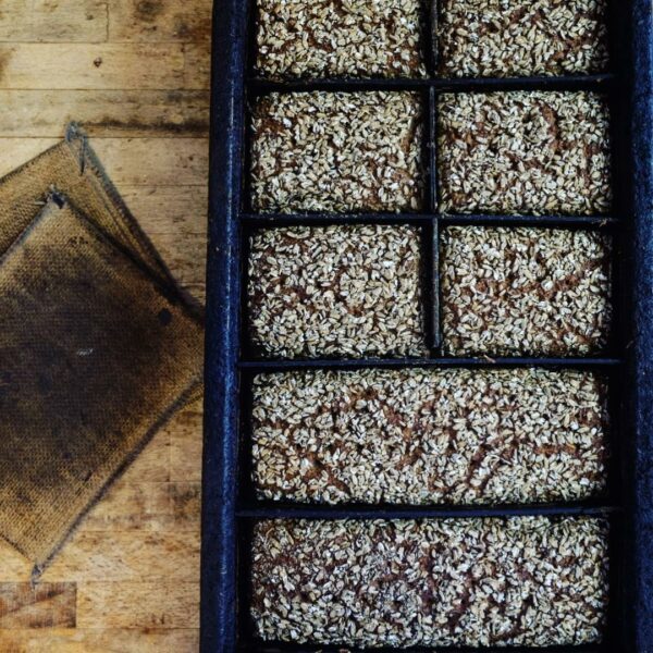 BIO SYLTER FRIESENVOLLKORN Riegel auf einem Holztisch.